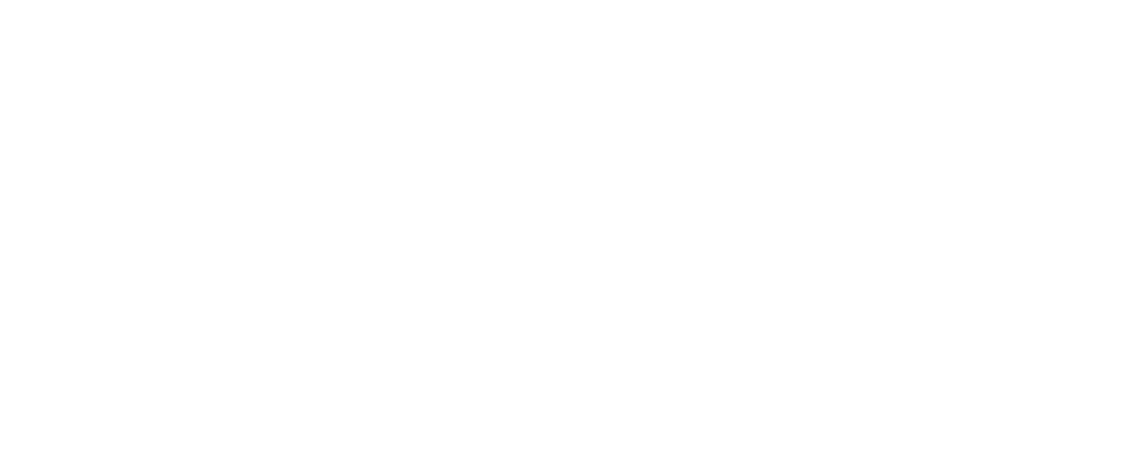 port st johns logo 2a